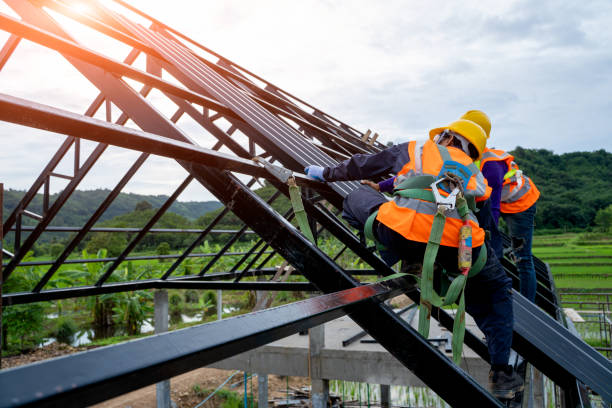 Best Residential Roofing Contractor  in Plainwell, MI