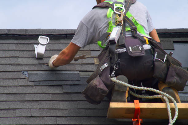 Best Storm Damage Roof Repair  in Plainwell, MI